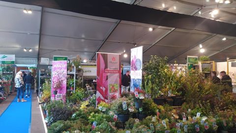 Au salon néerlandais GrootGroenPlus, une grande majorité des 235 exposants sont des pépiniéristes. En 2022, ils ont reçu des visiteurs de 27 pays. ©L.Hespel Au salon néerlandais GrootGroenPlus, une grande majorité des 235 exposants sont des pépiniéristes. En 2022, ils ont reçu des visiteurs de 27 pays. ©L.Hespel